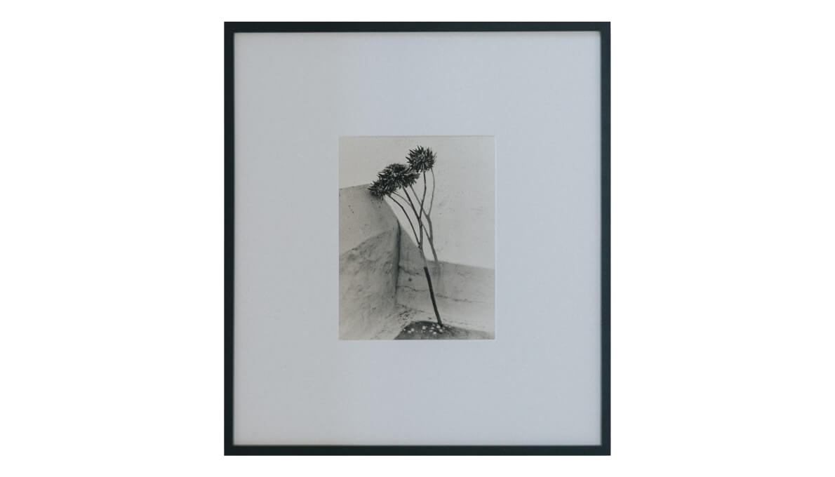 Untitled III